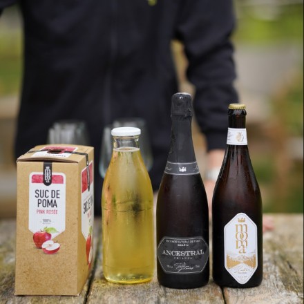 Experiencia del campo a la mesa